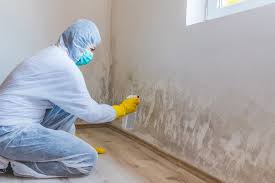 Best Post-Construction Mold Inspection  in Baywood, NY