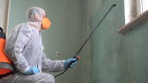 Best Black Mold Removal  in Baywood, NY